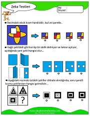 Zeka Gelişim Testleri